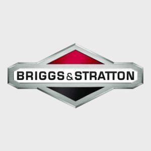 Briggs & Stratton